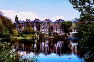 row of houses by lake