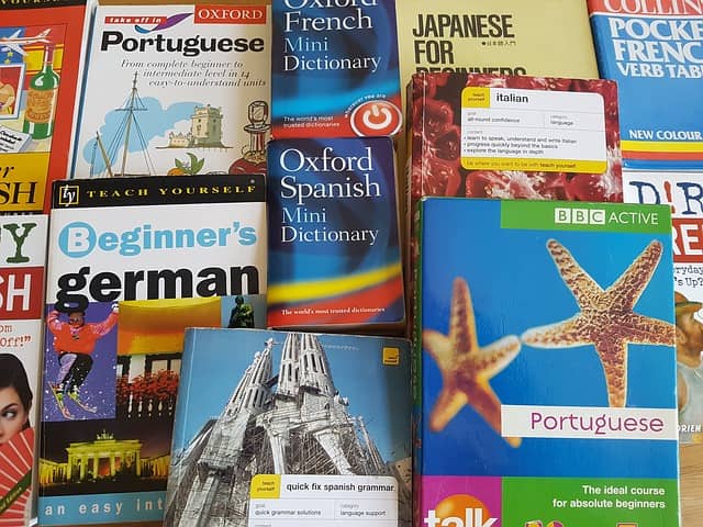 How to Learn a Language in a Year